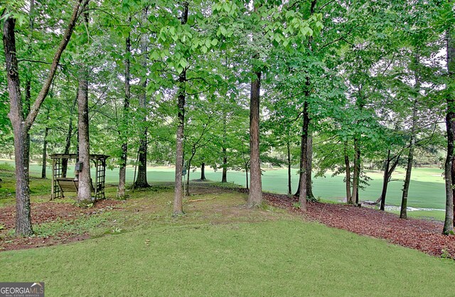 44 Arbor Way, Newnan, GA 30265 - view of yard