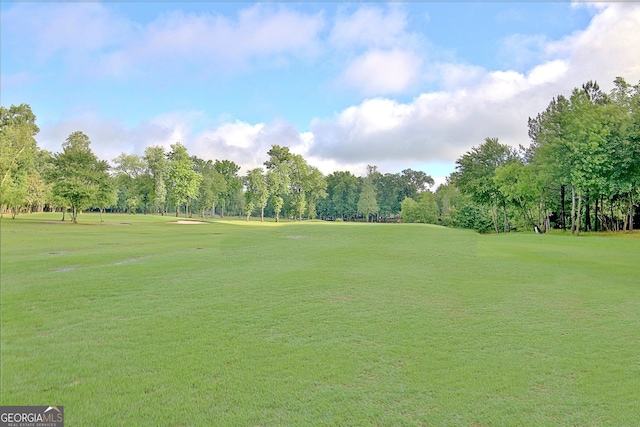 44 Arbor Way, Newnan, GA 30265 - surrounding community with view of scattered trees, a lawn, and view of golf course