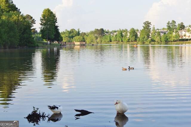 44 Arbor Way, Newnan, GA 30265 - water view