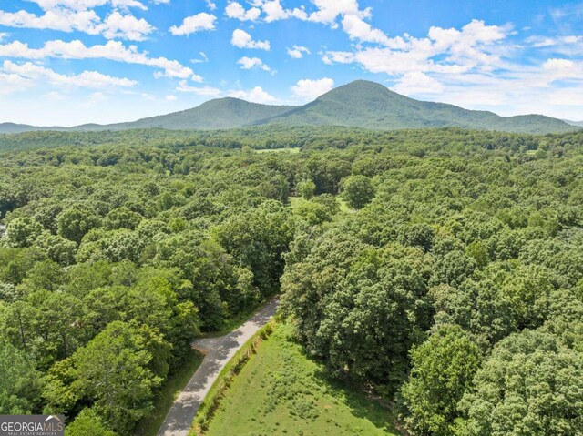0 Arthur Allen Rd Lot 2, Cleveland, GA 30528