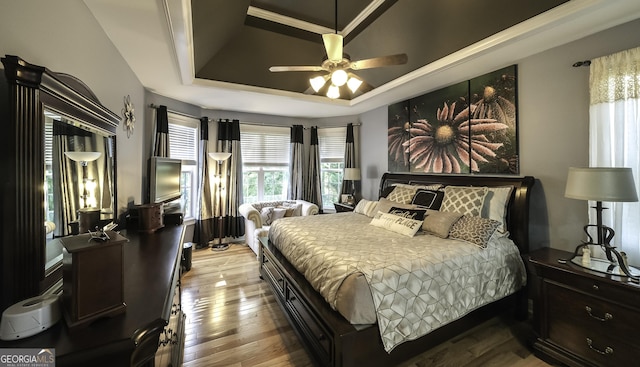 bedroom featuring hardwood / wood-style floors, a tray ceiling, and ceiling fan