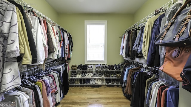 spacious closet featuring wood finished floors