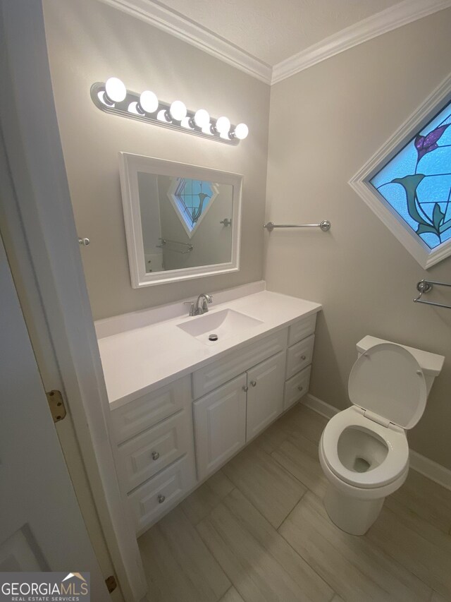 1669 Azalea Dr, Lawrenceville, GA 30043 - bathroom featuring crown molding, vanity, toilet, and baseboards