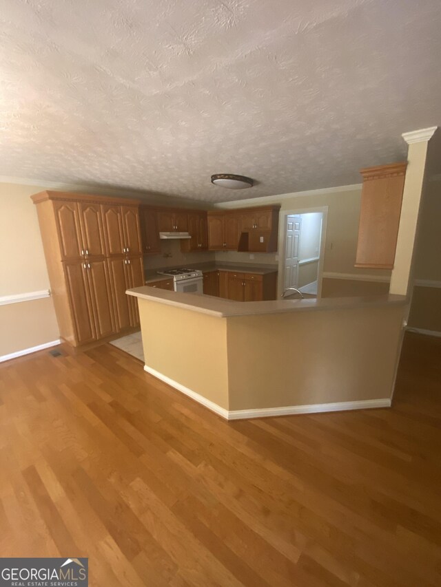 1669 Azalea Dr, Lawrenceville, GA 30043 - kitchen with light wood-style floors, white range with gas cooktop, a textured ceiling, under cabinet range hood, and baseboards
