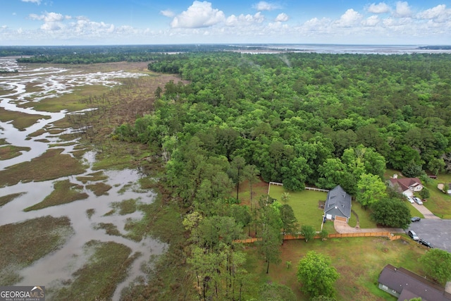 194 Retreat Pl, Woodbine, GA 31569 - aerial view of property and surrounding area with a heavily wooded area