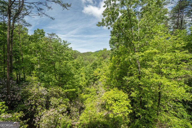 451 Pinecrest Rd, Sautee Nacoochee, GA 30571 - view of tree filled area