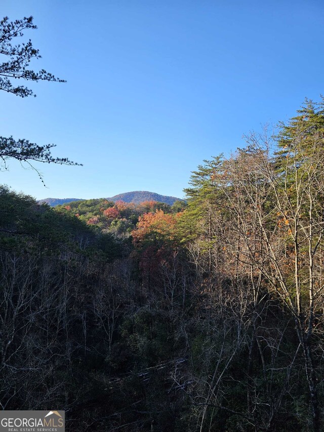 451 Pinecrest Rd, Sautee Nacoochee, GA 30571 - view of mountain backdrop featuring a heavily wooded area