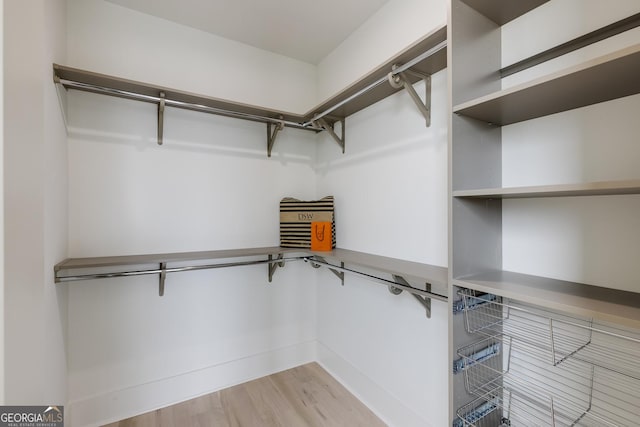 1954 8th St, Chamblee, GA 30341 - walk in closet featuring light wood-style floors