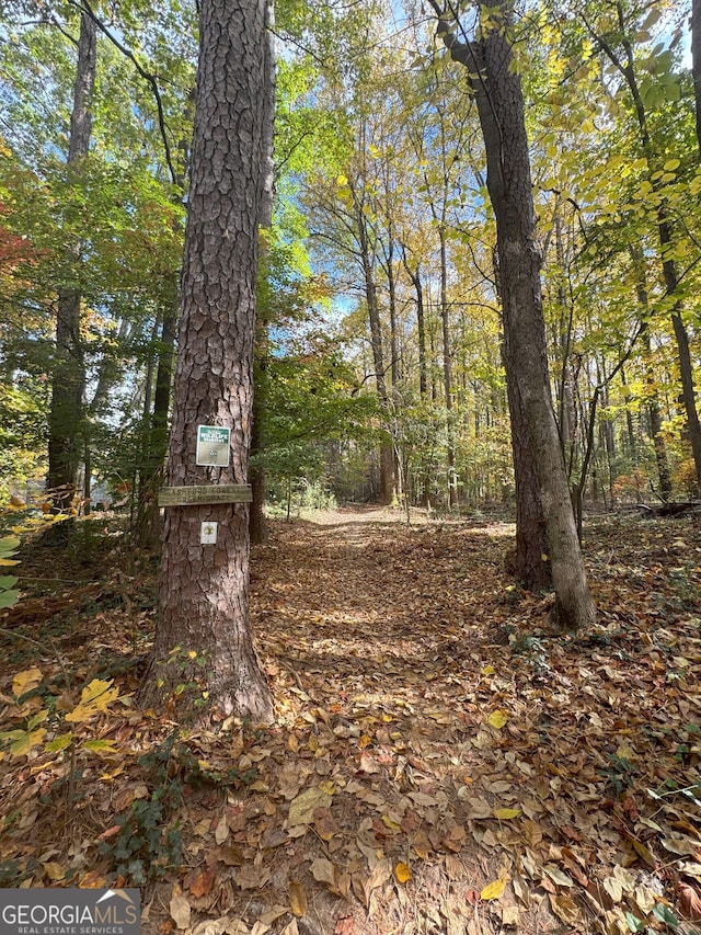 1954 8th St, Chamblee, GA 30341 - view of undeveloped land