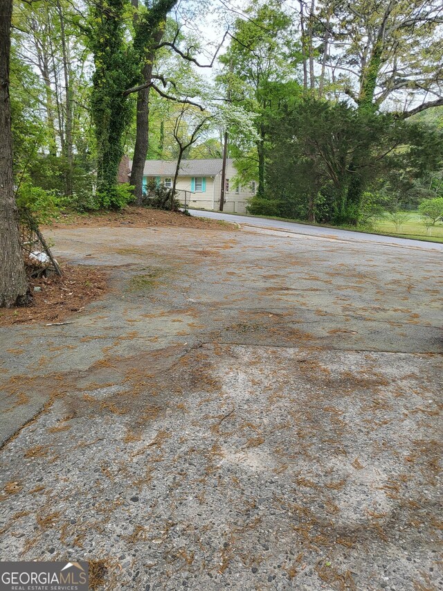 957 Astor Ave, Forest Park, GA 30297 - view of yard