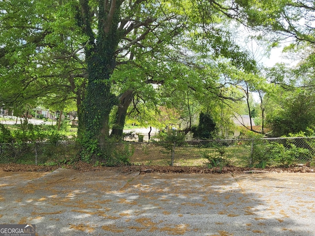 957 Astor Ave, Forest Park, GA 30297 - view of fenced yard