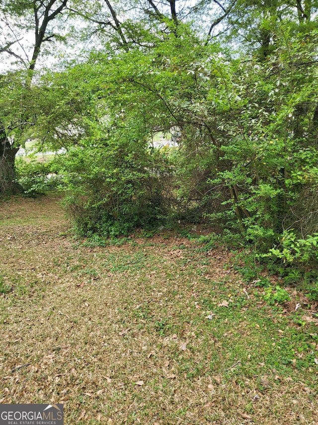 957 Astor Ave, Forest Park, GA 30297 - view of nature