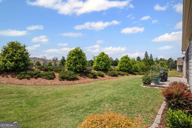 106 Little Gem Ct, Griffin, GA 30223 - view of grassy yard