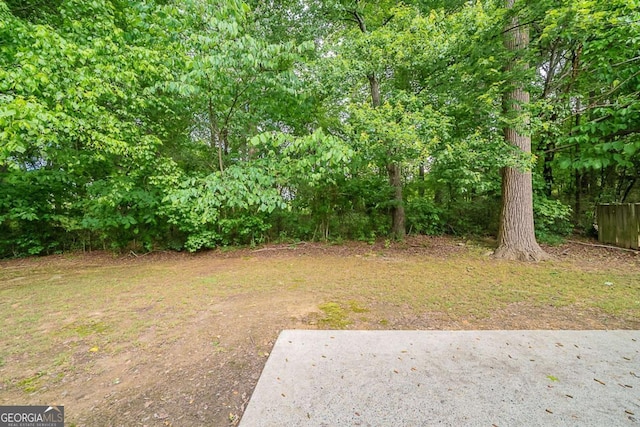 view of yard with a patio