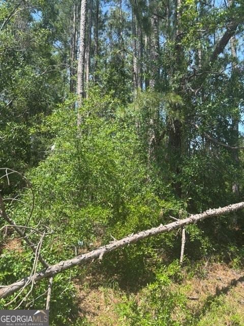 0 Stoney Brook Way, Reidsville, GA 30453