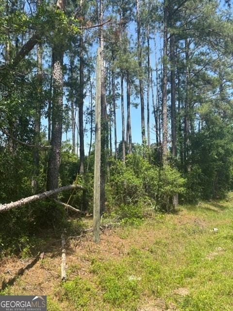 0 Stoney Brook Way, Reidsville, GA 30453