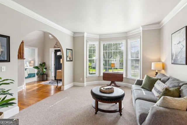 carpeted living area with arched walkways, ornamental molding, baseboards, and wood finished floors