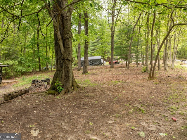 2200 New Hope Rd, Morganton, GA 30560 - view of yard featuring a wooded view