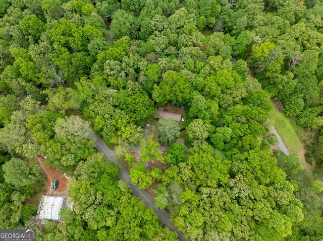 2200 New Hope Rd, Morganton, GA 30560 - view of property location