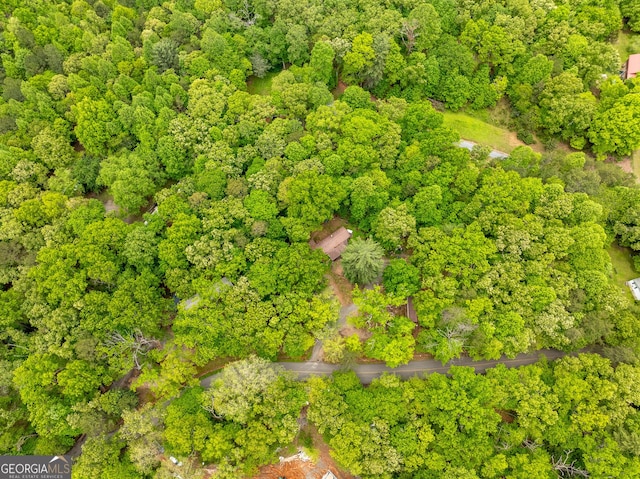 2200 New Hope Rd, Morganton, GA 30560 - view of property location