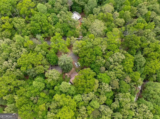 2200 New Hope Rd, Morganton, GA 30560 - drone / aerial view