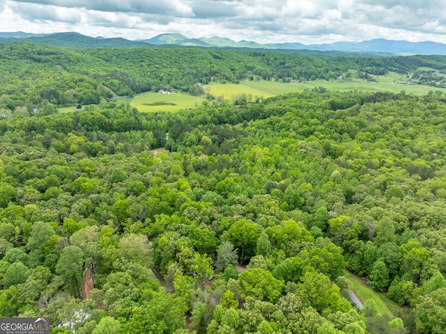 2200 New Hope Rd, Morganton, GA 30560 - drone / aerial view of a forest and a mountain backdrop