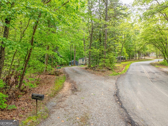 2200 New Hope Rd, Morganton, GA 30560 - view of asphalt driveway with a forest view