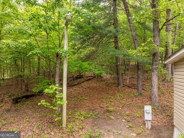 2200 New Hope Rd, Morganton, GA 30560 - view of yard with a view of trees