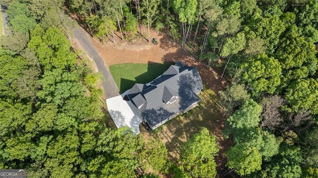 5567 Tyree Rd, Winston, GA 30187 - aerial view of property's location