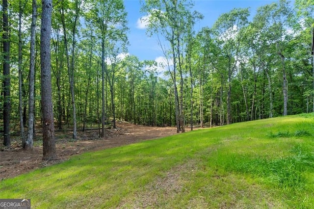 5567 Tyree Rd, Winston, GA 30187 - view of yard with a wooded view