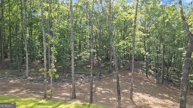 5567 Tyree Rd, Winston, GA 30187 - view of nature