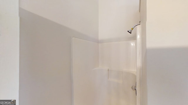 4162 Ward Lake Trl, Ellenwood, GA 30294 - bathroom with a shower