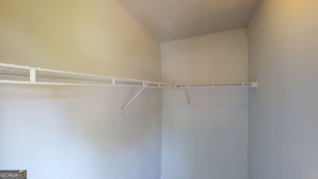 4162 Ward Lake Trl, Ellenwood, GA 30294 - walk in closet featuring lofted ceiling