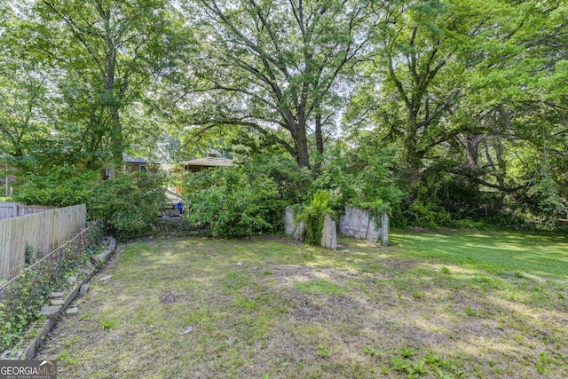 103 Chicamauga Ave SW, Atlanta, GA 30314 - view of yard