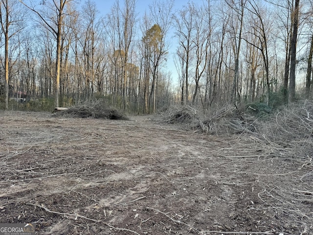 0 J B Owens Rd Unit 11Acres, Bethlehem, GA 30620
