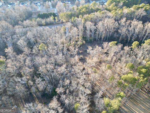 0 J B Owens Rd Unit 11Acres, Bethlehem, GA 30620