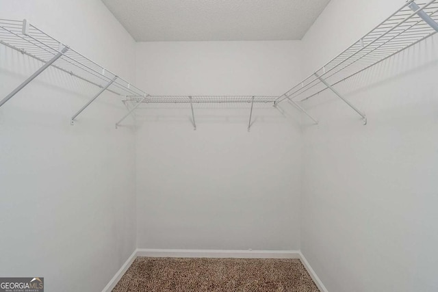 6285 Polar Fox Ct, Riverdale, GA 30296 - walk in closet with carpet floors