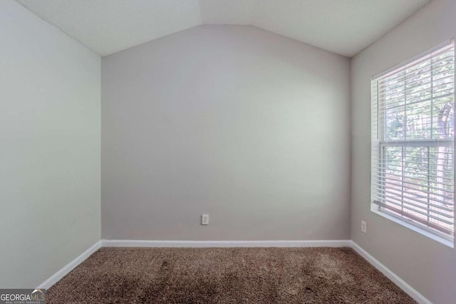 6285 Polar Fox Ct, Riverdale, GA 30296 - spare room with carpet flooring and vaulted ceiling