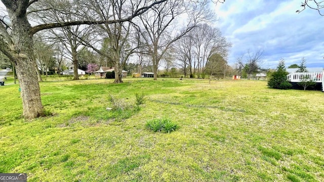 6 River St SW, Cave Spring, GA 30124 - view of yard
