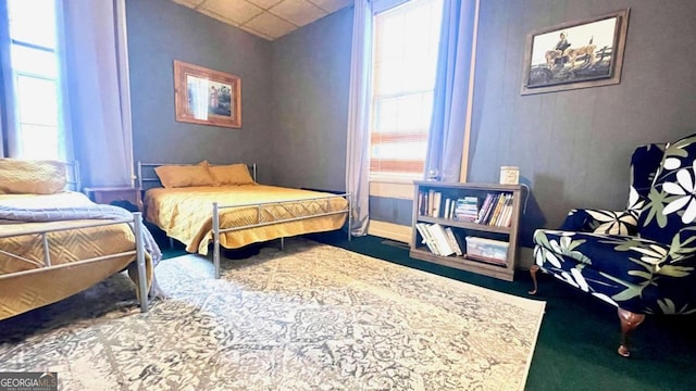 6 River St SW, Cave Spring, GA 30124 - carpeted bedroom with multiple windows