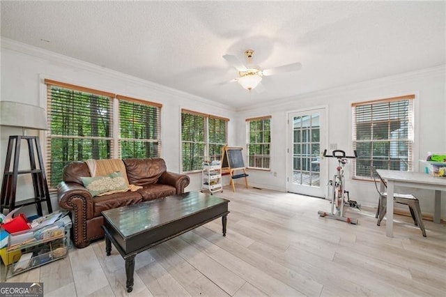 1763 Benningfield Dr SW, Marietta, GA 30064 - living room featuring a ceiling fan, light wood-type flooring, crown molding, and a textured ceiling