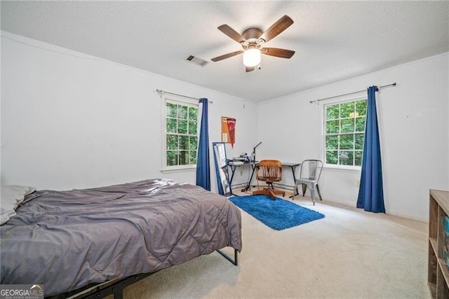 1763 Benningfield Dr SW, Marietta, GA 30064 - bedroom with multiple windows, carpet flooring, a ceiling fan, and a textured ceiling