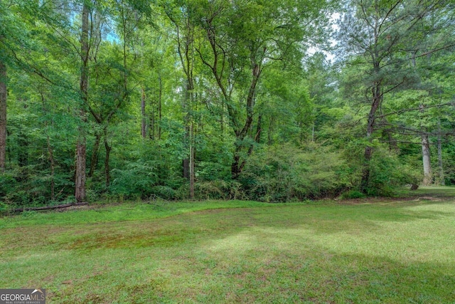 view of green lawn with a view of trees