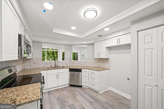 kitchen with appliances with stainless steel finishes, a sink, a tray ceiling, light stone countertops, and recessed lighting