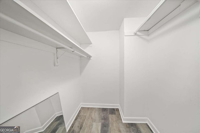 walk in closet featuring wood finished floors