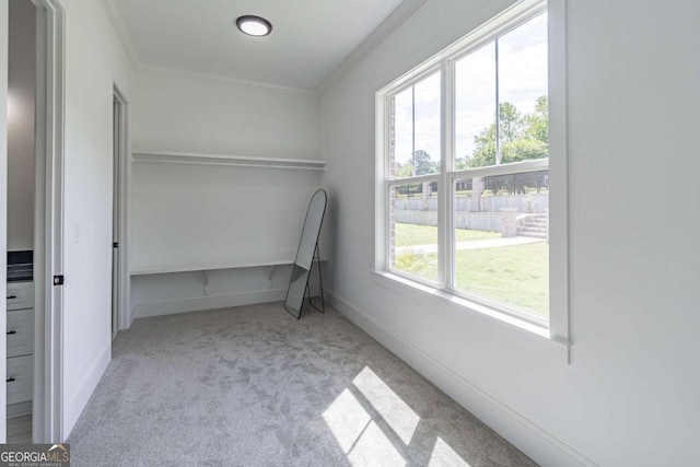 140 Maranatha Trl, Lawrenceville, GA 30045 - unfurnished bedroom with carpet floors, crown molding, and baseboards