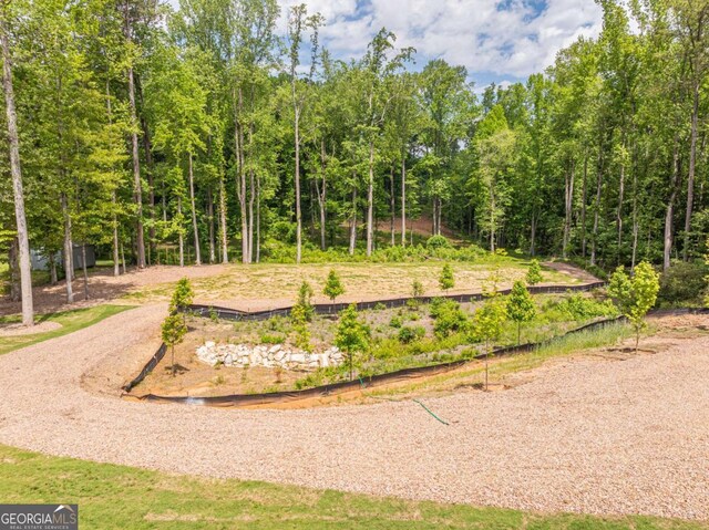 140 Maranatha Trl, Lawrenceville, GA 30045 - view of yard