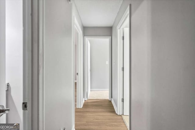 191 Nectar Pl, Dallas, GA 30132 - corridor featuring light wood-style floors and baseboards