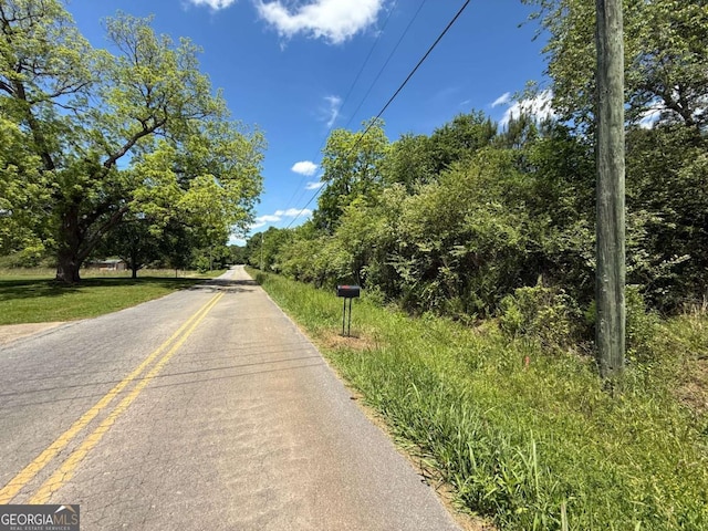 0 Grogan Rd, Buchanan, GA 30113 - view of asphalt street
