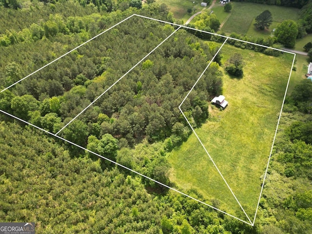 0 Grogan Rd, Buchanan, GA 30113 - view of property location with property boundaries highlighted and a forest